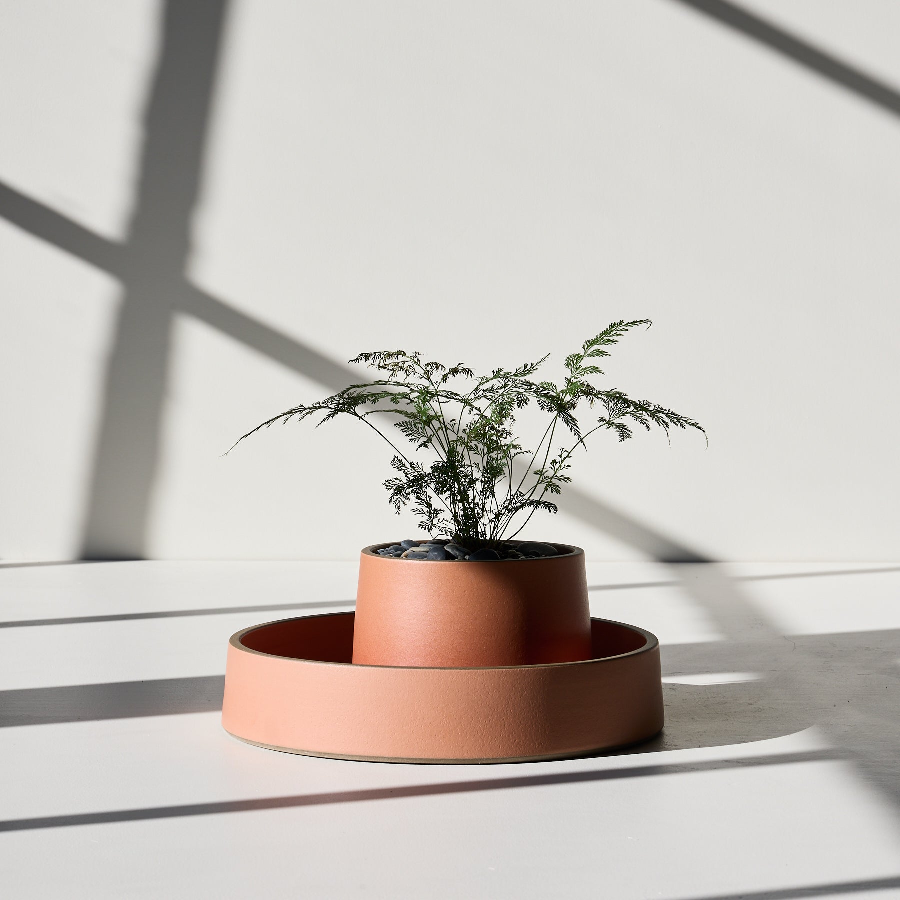 Form 41 Zoom Image 1