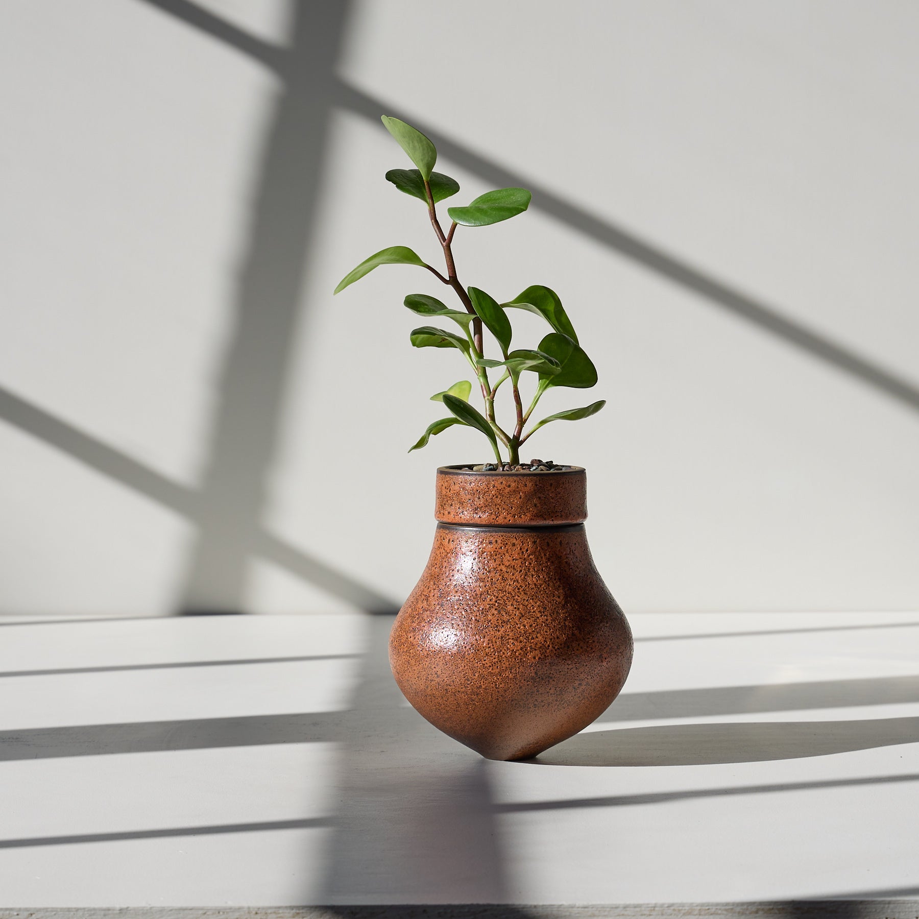 Form 53 Zoom Image 1