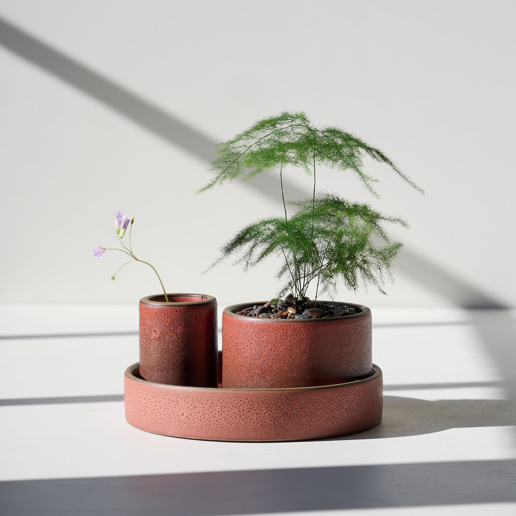 Form 36 Zoom Image 1