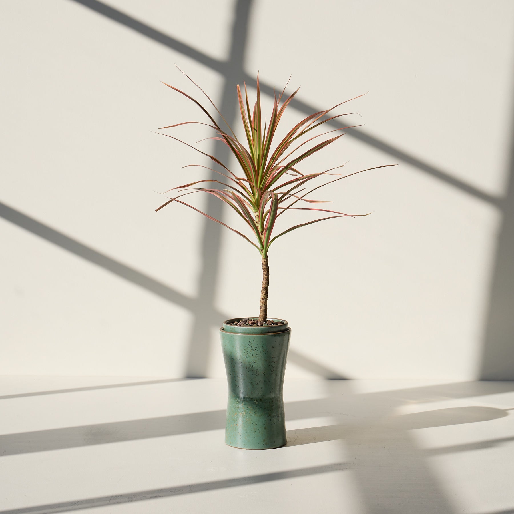 Form 50 Zoom Image 1