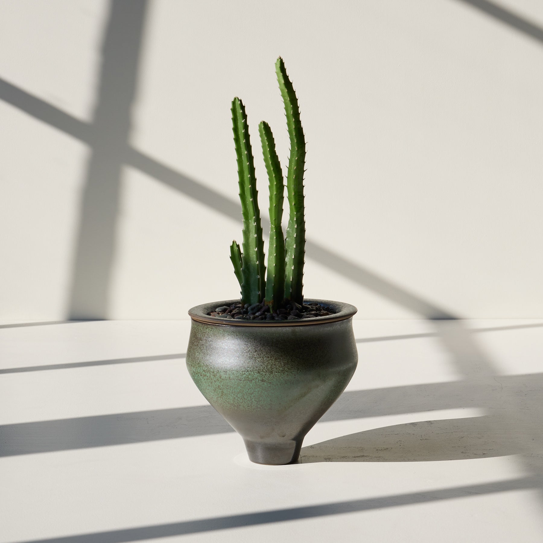 Form 38 Zoom Image 1