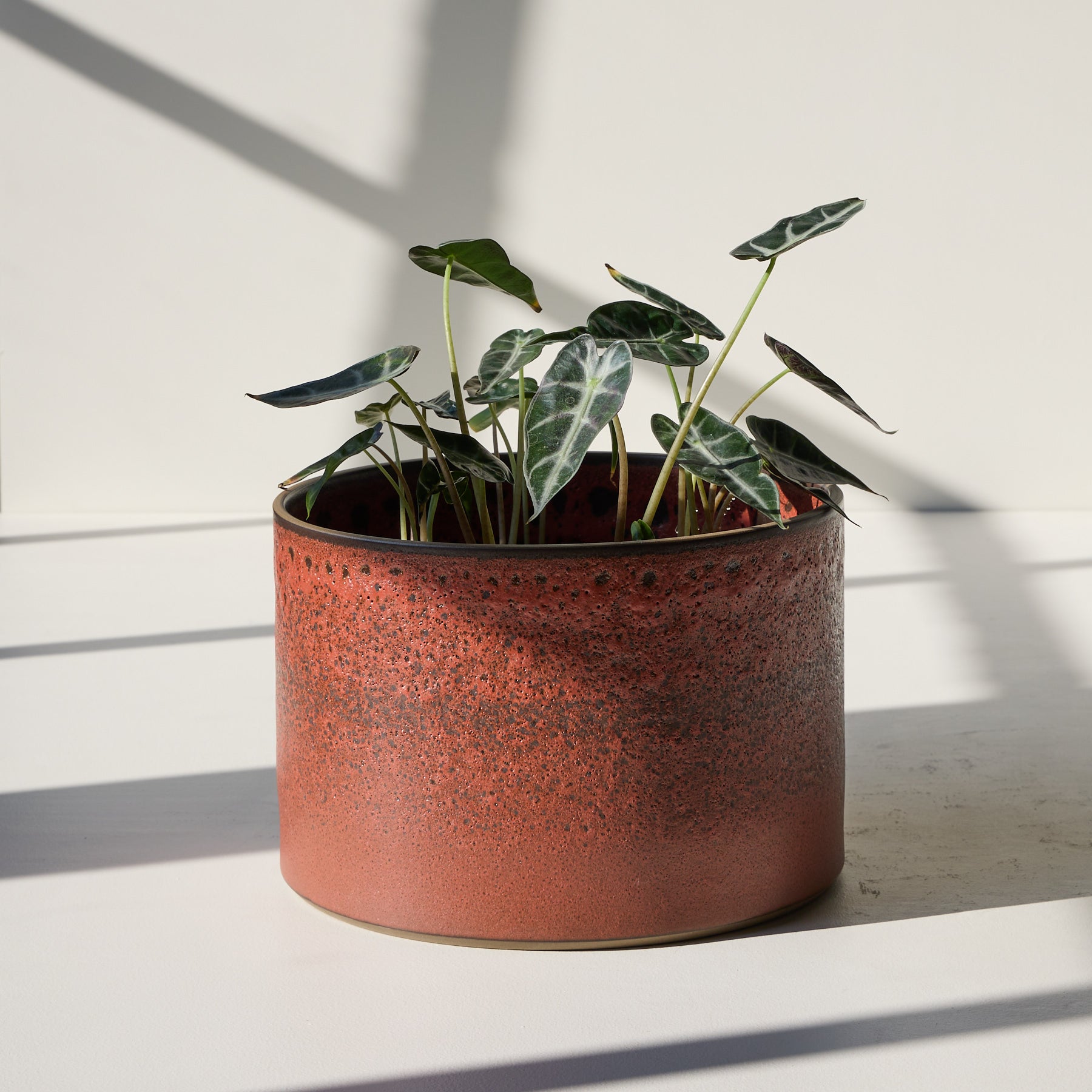 Form 37 Zoom Image 1