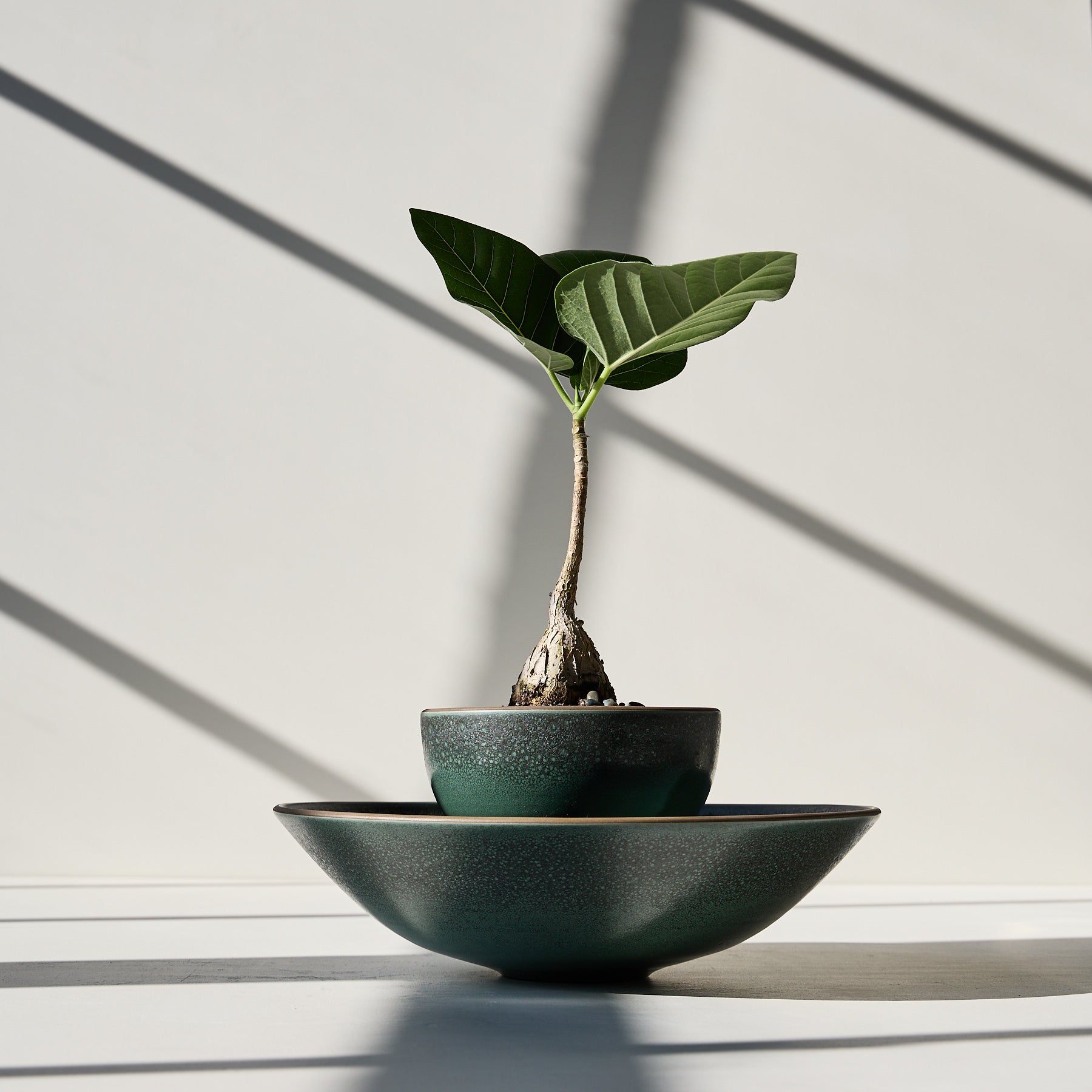 Form 32 Zoom Image 1