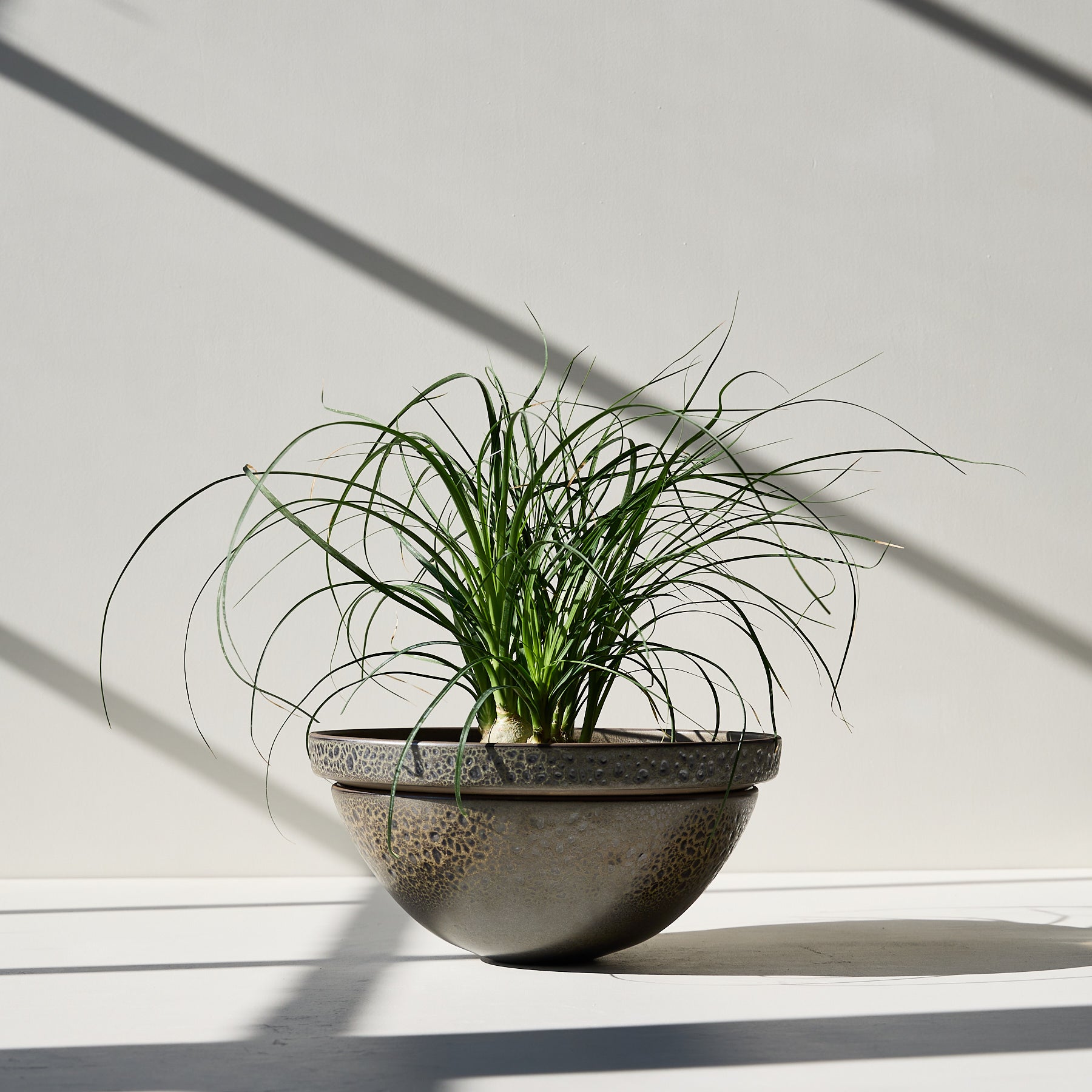 Form 40 Zoom Image 1