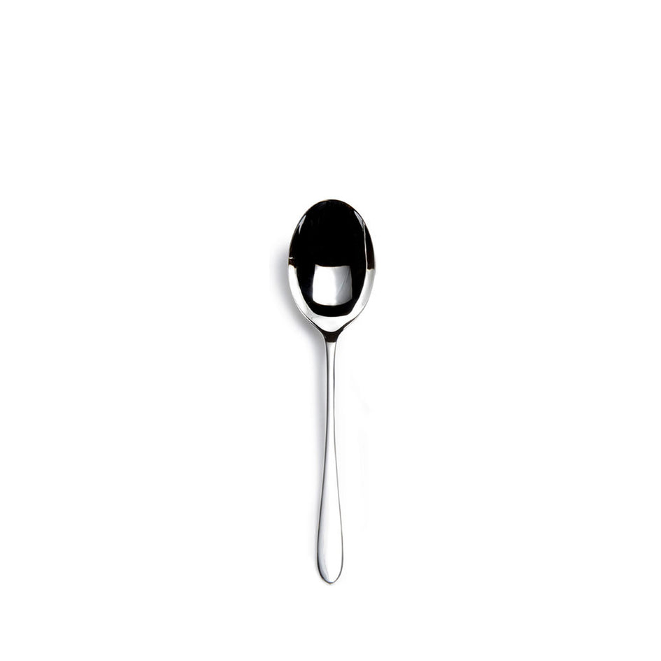 Pride Serving Spoon Image 1