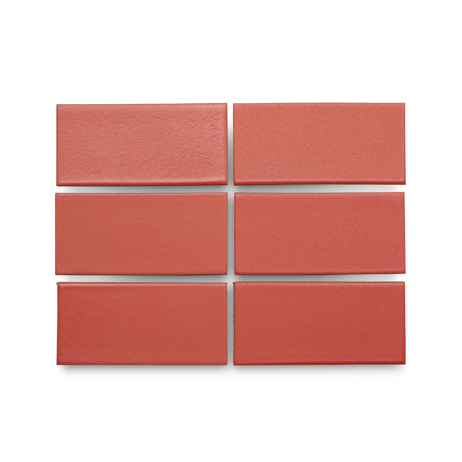 M141 Sample in Zinnia Image 1